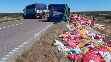 Volcó en la Ruta 251 cerca de Río Colorado. Foto: Bomberos Voluntarios Río Colorado