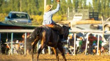 Imagen de La Fiesta del Chacarero y el Hombre de Campo en Picún Leufú ya tiene fecha: entradas, sorteos y más