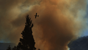 Video | Incendio descontrolado en El Bolsón: evacuaciones y fuego cerca de una planta de gas
