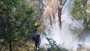 Incendios en la Patagonia: corte tras dos meses de fuego en el Nahuel Huapi, donación para El Bolsón y preocupación en Lanín