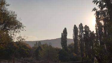 Incendios en la Patagonia: el humo de Chile llegó al norte neuquino este jueves