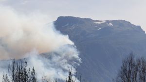 Incendios en la Patagonia: la mayoría de focos en El Bolsón ya están en etapa de enfriamiento