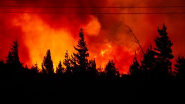 La zona de La Rinconada y el predio ferial, los más afectados por el fuego que se desató ayer al mediodía. Foto: Marcelo Martínez