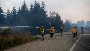 «Hay gente desesperada» en El Bolsón: robo a los bomberos, personas pérdidas y mascotas heridas