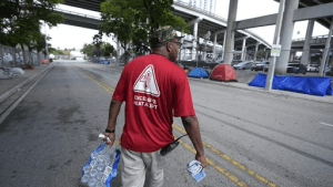 Calor: la Tierra registra su año más cálido en 2024, superando un umbral clave