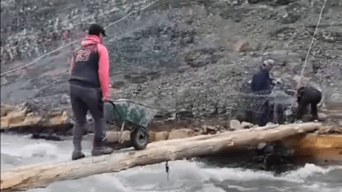 Video | Cruzan un «puente» hecho con un tronco en el norte neuquino: el peligro como el que sufrió el criancero arrastrado por el río