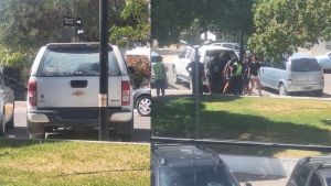 Indignante: dejaron a sus perros al rayo del sol y encerrados en una camioneta en Las Grutas