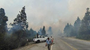 Incendios en la Patagonia, solidaridad con las zonas afectadas ¿Cómo colaborar?