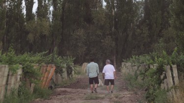 Marcelo Miras y Andrés Rosberg recorren los viñedos en Mainqué y hablan de la “transformación en la vitivinicultura” rionegrina en los últimos años. (Foto: Andrés Maripe)