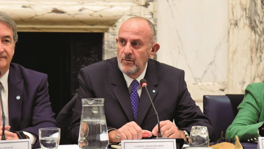 Sergio Capozzi , diputado del PRO. Foto: Archivo.