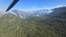 Imagen de 98 brigadistas combaten el incendio forestal al sur de Bariloche: habrá nuevas columnas de humo en los próximos días
