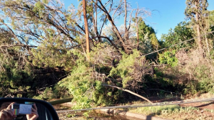 En fotos, así se vivió la feroz tormenta en el Alto Valle: postes y árboles caídos, calles inundadas y autos dañados