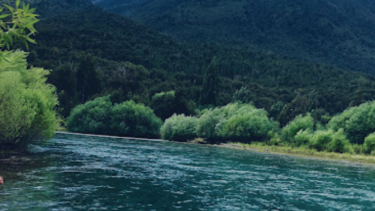 Al joven le practicaron maniobras de RCP, pero no reaccionó. Foto: Google.