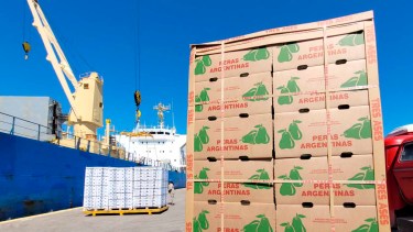Exportación de peras y manzanas de Río Negro. Archivo.