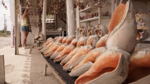 Caracoles y puños: en el barrio de los pulperos de Las Grutas, José da pelea