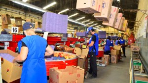 Paritaria de la fruta en Río Negro: ¿Cuál fue la oferta rechazada por el sindicato?