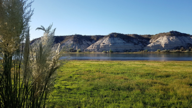 Isla 58 en Villa Regina, un oasis natural para disfrutar. Foto Turismo Villa Regina. 