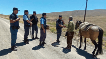 Imagen de ¡Operativo relámpago! La policía recuperó 22 vacas robadas tras una intensa persecución, en Neuquén