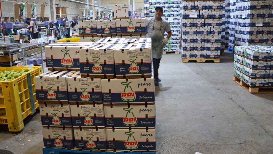 Peras de exportación, hay mercado.