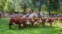 Imagen de Expo Rural de Neuquén: el campo abre sus tranqueras en Junín de los Andes