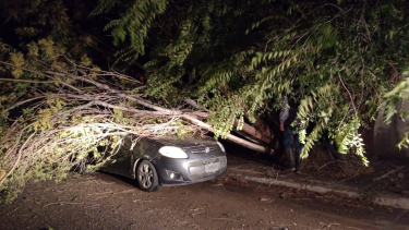 Heridos en Fernández Oro por el violento temporal: «De golpe el viento fue fortísimo y los árboles se hamacaban»