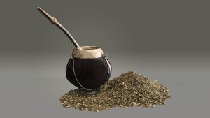 Descifrar el genoma de la yerba: dos argentinos lo lograron con un equipo internacional