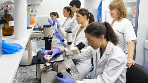 Vacuna contra la enfermedad de Chagas: esperanza por un prototipo que prepara el Conicet