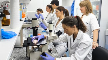 Equipo de trabajo del conicet para vacuna contra Chagas - Foto: Gentileza CONICET.