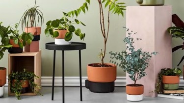 Este sistema también asegura un suministro constante de agua y es perfecto para macetas más pequeñas o plantas que requieren menos riego.