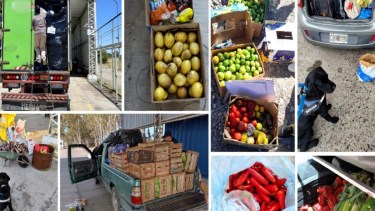 Senasa decomisó más de 1,6 toneladas de productos. Foto: gentileza.