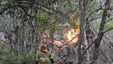 Foto: Parque Nacional Nahuel Huapi. 
