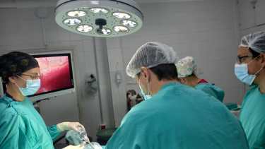 El trabajo de Mendoza en el quirófano permite intervenir a tiempo para evitar que el panorama se agrave. Foto: Gentileza.