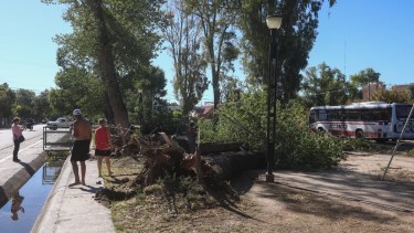 Video | «De los 40 años que tengo como allense, la primera vez que vi algo así»: Allen, la más golpeada por el temporal del Alto Valle