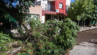 El temporal dejó destrucción en Allen. (Archivo Juan Thomes)
