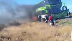 Impactante incendio de un colectivo en medio de la ruta en Chubut: quedó reducido a cenizas