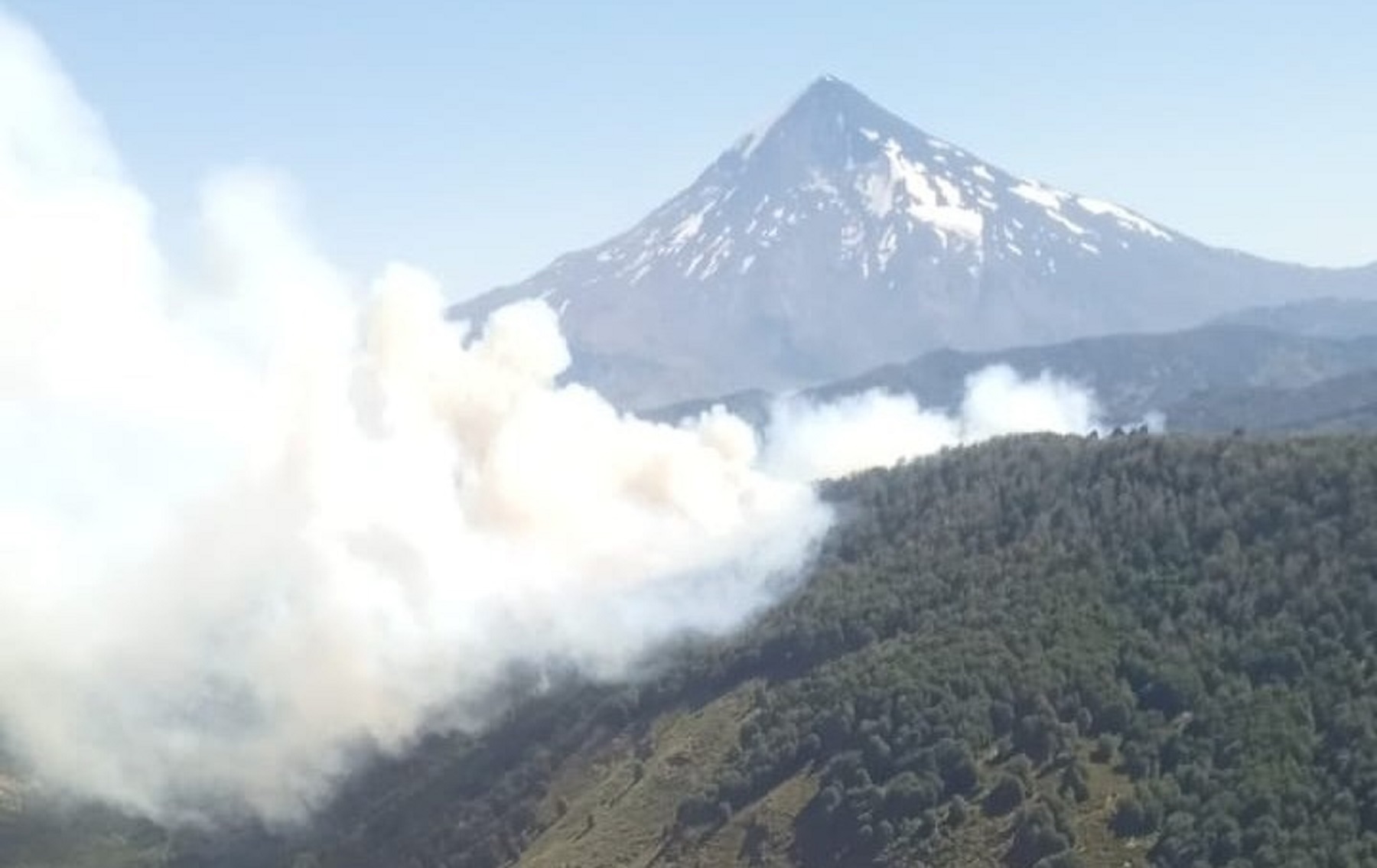 Incendios en el parque Lanín. Foto: gentileza. 