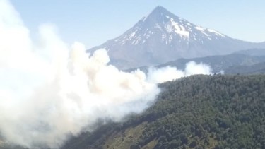 Incendios en el parque Lanín. Foto: gentileza. 