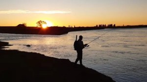 Lo hallaron muerto en el río Limay: se arrojó a nadar y no volvió, en un pueblo de Río Negro