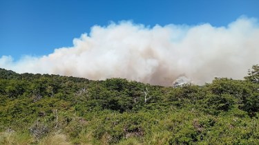 Incendio en el Parque Lanín. Foto: gentileza. 