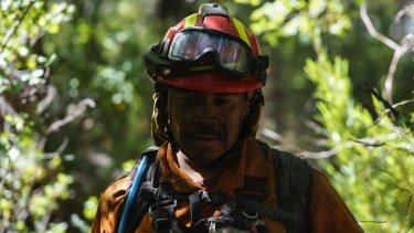 Incendios en la Patagonia: 14 mil hectáreas consumidas por el fuego en Lanín, evacuación preventiva en El Bolsón, medidas en Lago Puelo