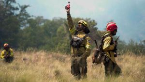 Cuándo llega la lluvia al Alto Valle y a la zona de incendios en la Patagonia