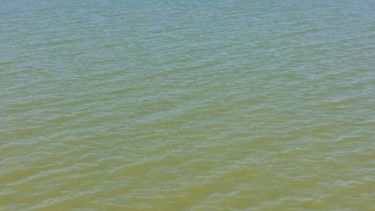 Cianobacterias en El Chocón. Foto: archivo. 