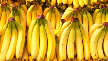 El uso regular de fertilizantes a base de cáscara de banana ayuda a mejorar la salud de las plantas