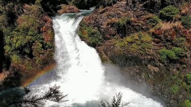 La cascada, uno de los atractivos del Parque nacional Nahuel Huapi. Foto: Gentileza Facebook Trekking Travel Fun.