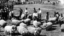 Imagen de Expo Rural de Neuquén: la ganadería ovina busca recuperar su esplendor