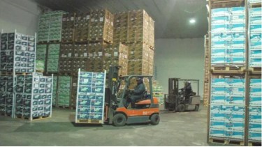 Paritaria de la fruta: sin acuerdo entre CAFI y Stihmpra por diferencias importantes