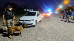 Imputaron al hombre que maniató a su ex en Plottier: la había abusado «de manera reiterada» en dos días