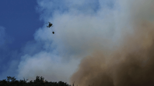 Incendios en la Patagonia: los evacuados del parque Lanín regresan a sus hogares