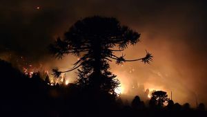 Incendios en la Patagonia: una bombera se descompensó y fue evacuada en Neuquén
