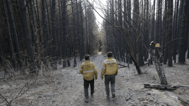 El incendio comenzó el 30 de enero. Foto: archivo
